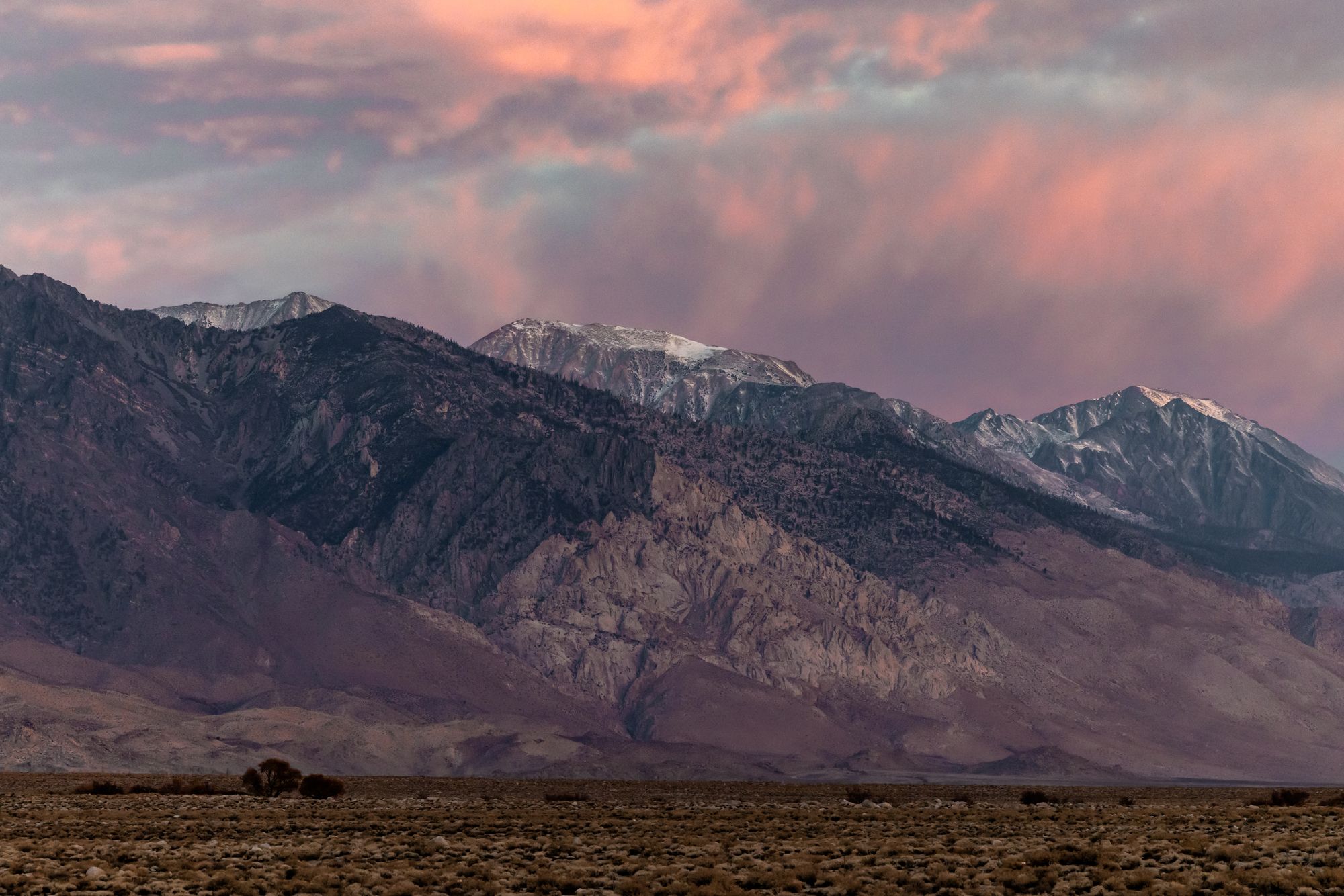 The first soft pink light of the day touching Goodale Mountain in the distance. In the foreground is the high desert floor with a few trees and many shrubs.