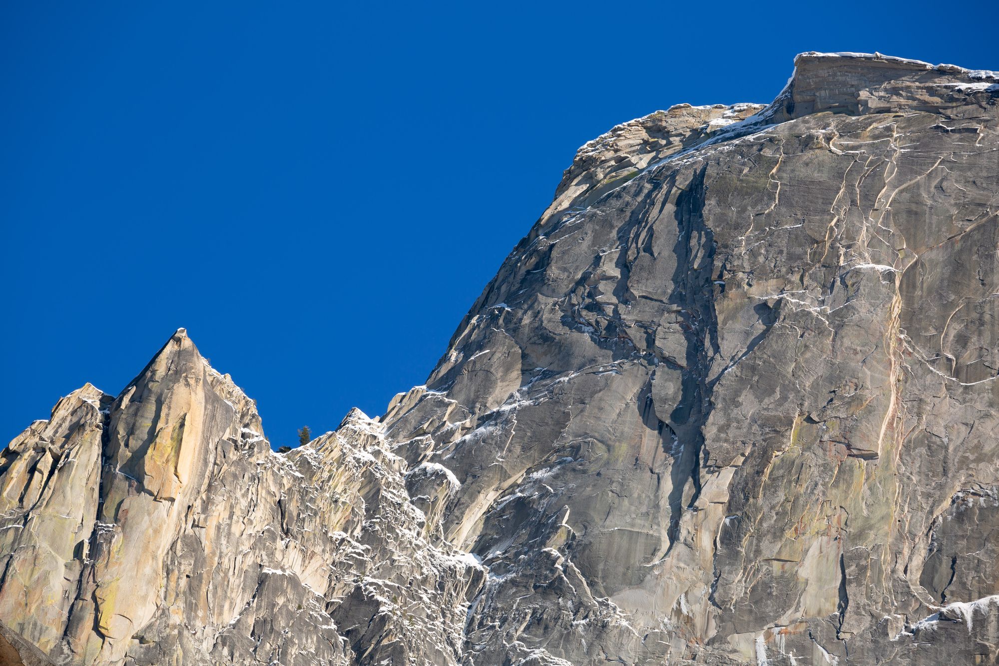 A jagged cliff face in the distance, with a few trees amongst the rocks trying to grow in austere conditions.