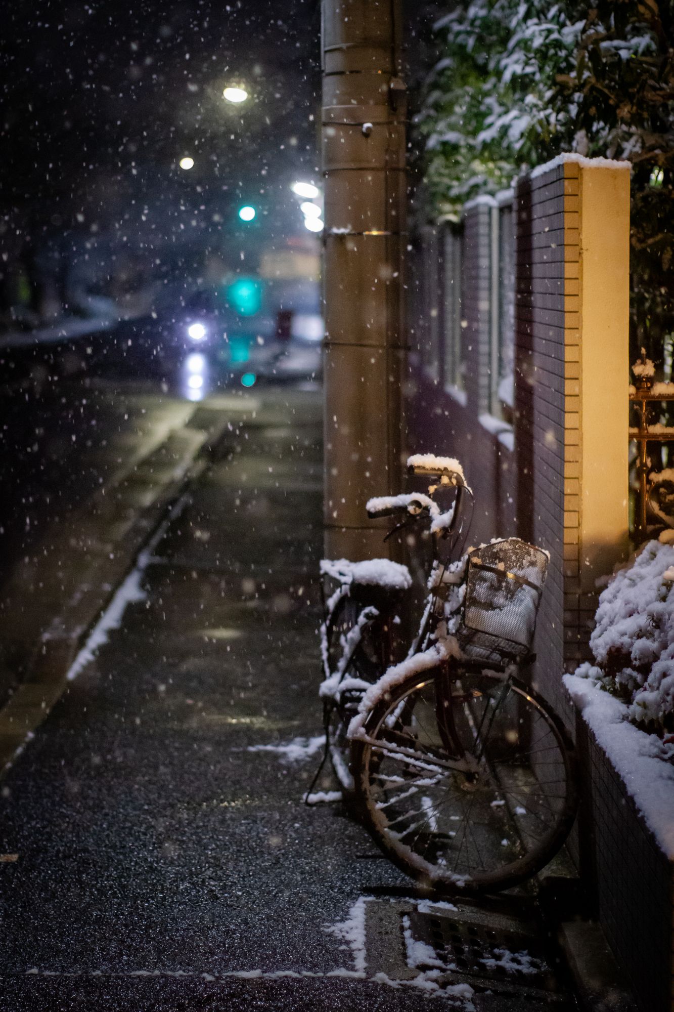 Snow piling up on a bike, starting to fill its attached basket. In the background part of a wet street is visible, with a green traffic light visible in the distance.